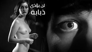 لن يؤذي ذبابة - سكس مترجم