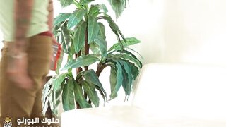 أجعل زوجي يغيب لساعتين - سكس مترجم